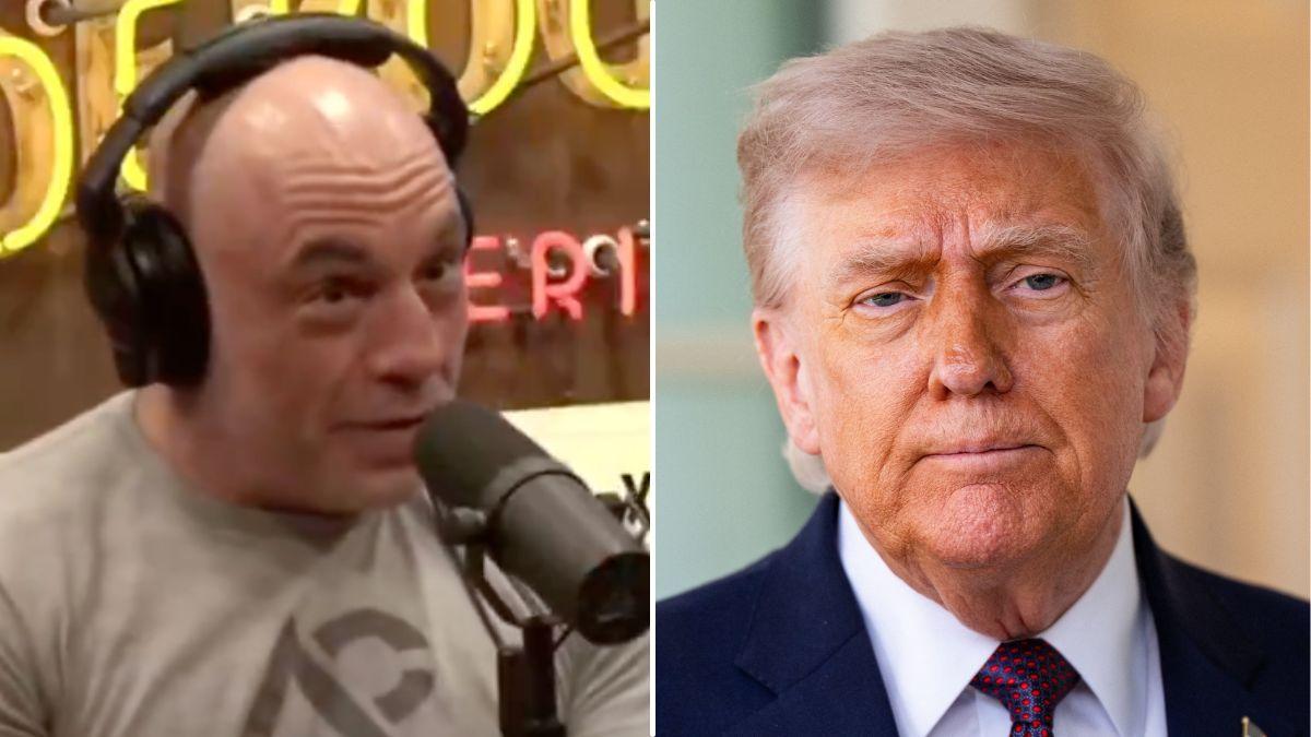 Joe Rogan bursts out laughing over Donald Trump's claim that AI picture ...