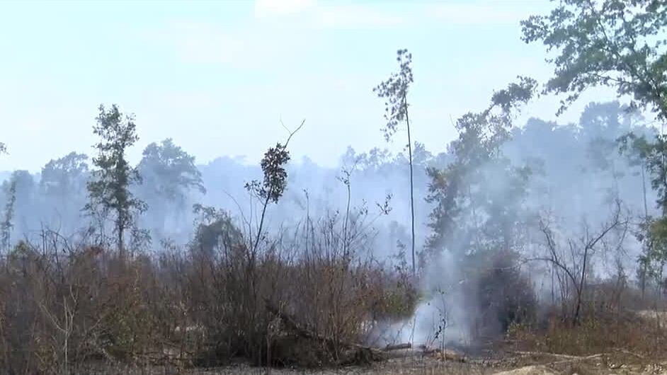 Drought grips Alabama and Georgia, threatening farms and raising fire ...