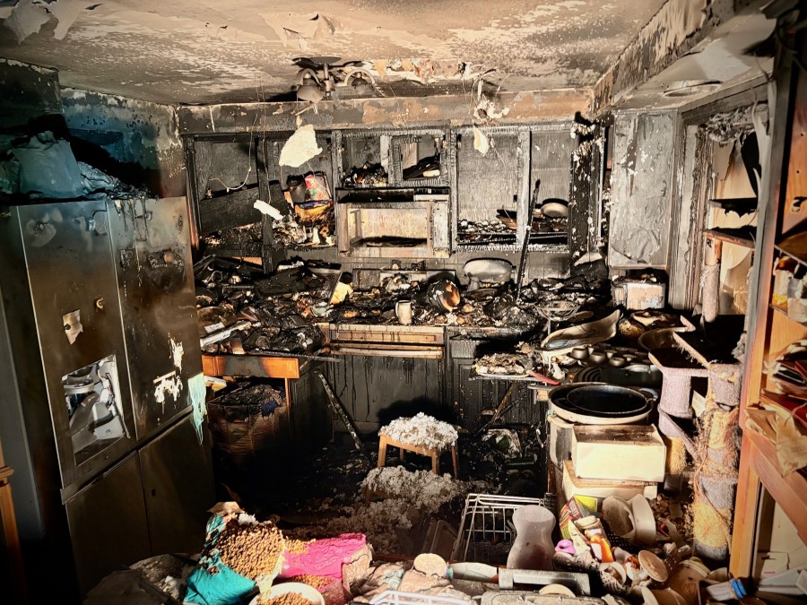 3 of 4 family pets killed in Vancouver house fire