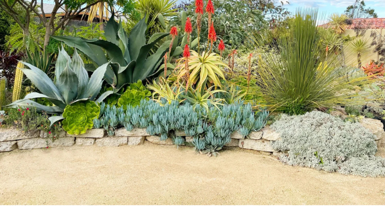 This low-water landscaping trend requires way less maintenance than grass
