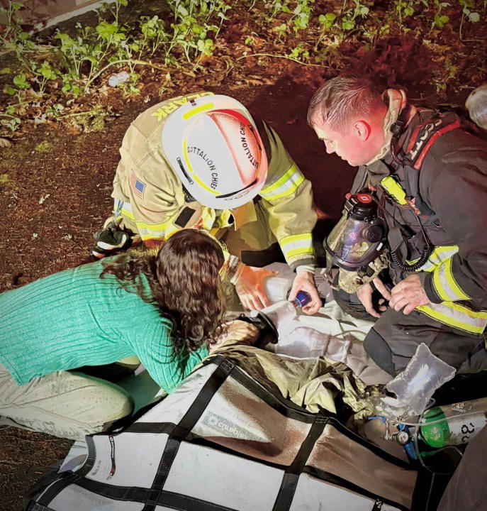 3 of 4 family pets killed in Vancouver house fire