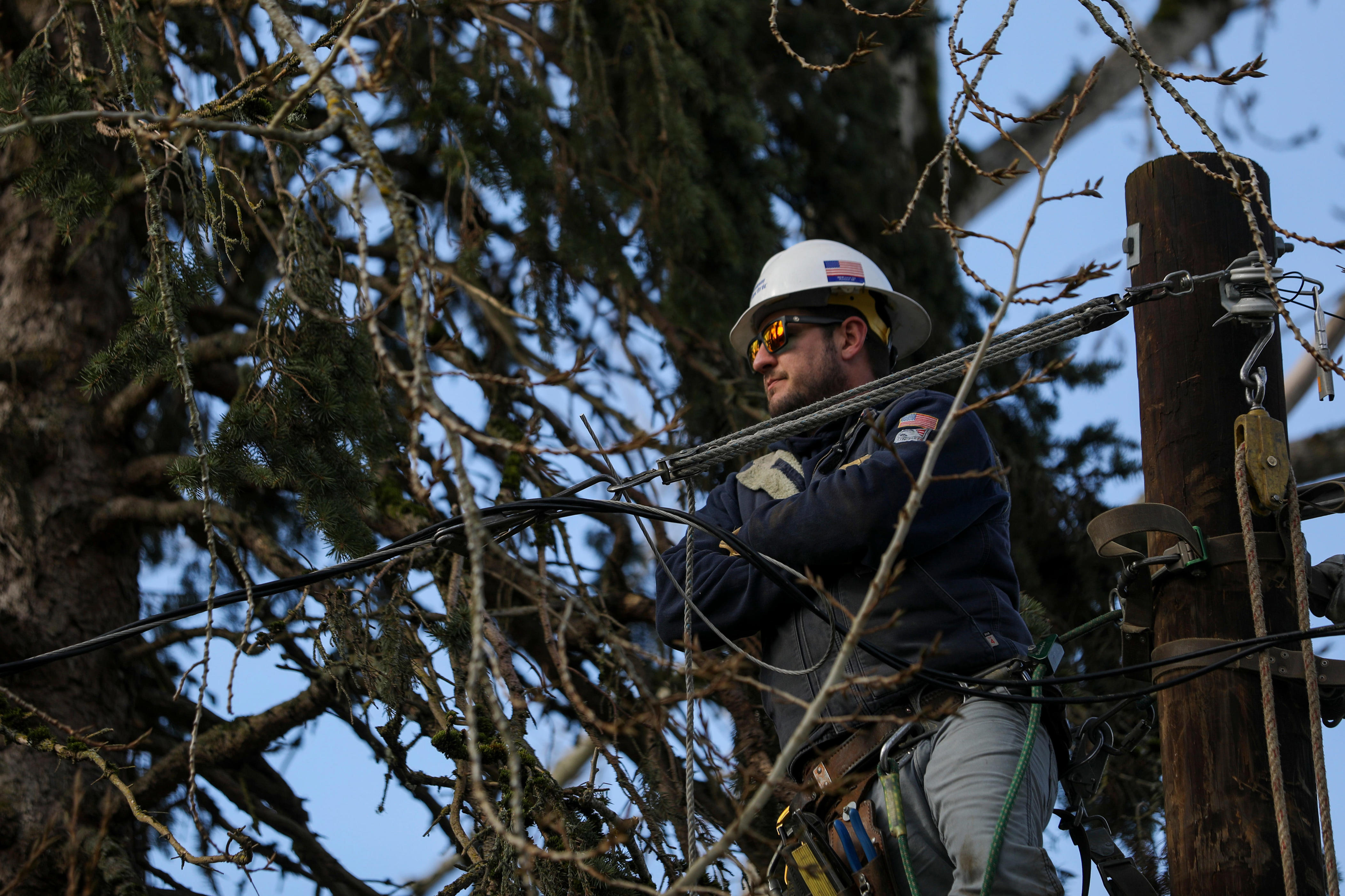 Fallen tree knocks power out for 1,600 in West Salem