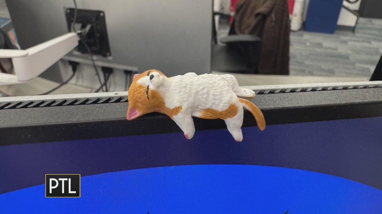 The cat caper is revealed! PTL chat: April 15, 2026
