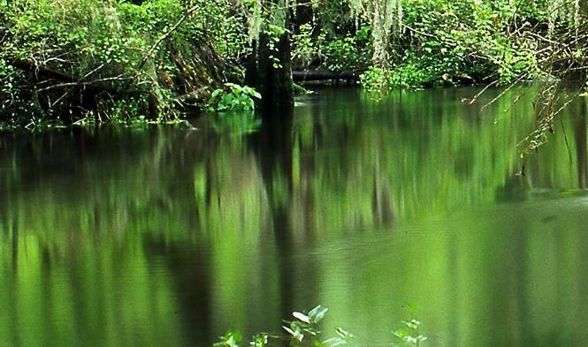 2 NC rivers ranked top 10 most endangered