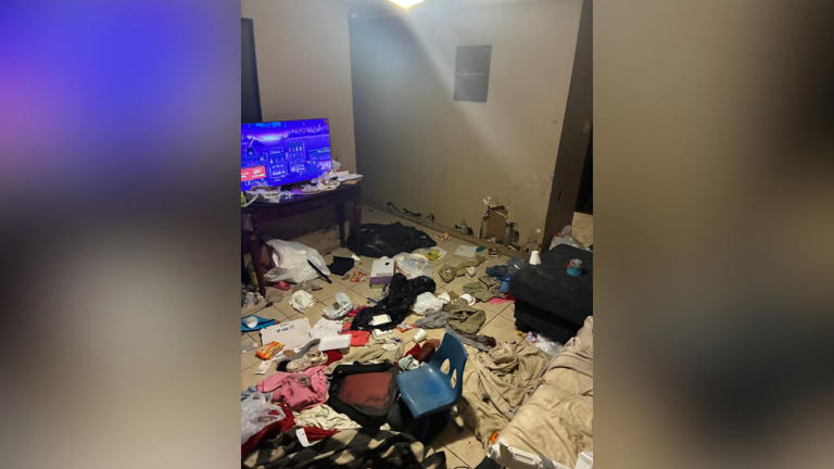 Graphic images: Children left unsupervised in home full of rat feces ...