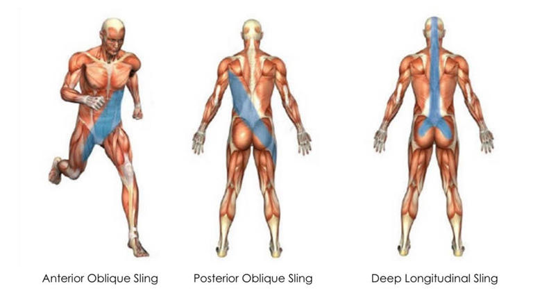 If you lift regularly but still feel tight, slow, or uncoordinated ...