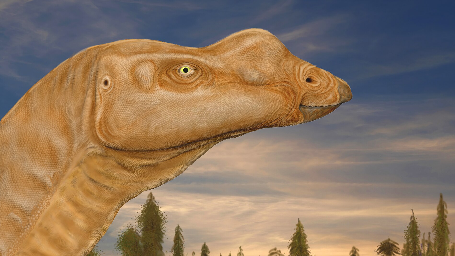 Analysis of 1,300 new dinosaur bones overhauls understanding of Qld ...