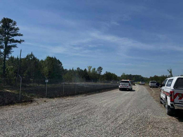 Photos: Downed power line sparks brush fire in Prince George