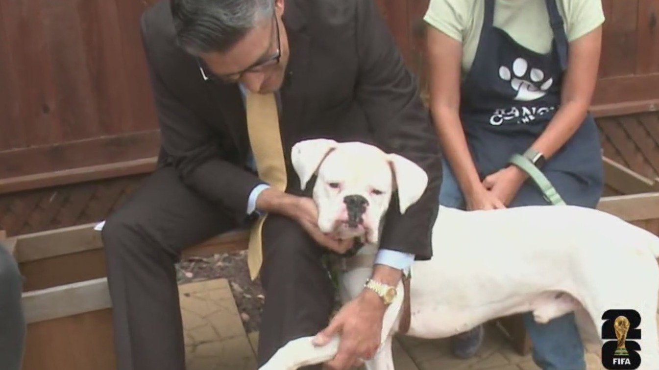 Rancho Coastal Humane Society's community festival