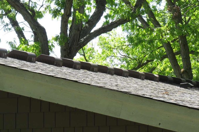 lots-of-roof-vents