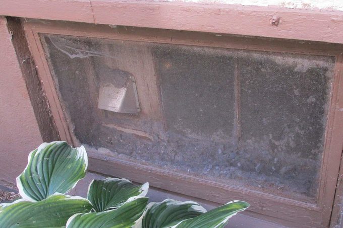 lint-screen-1200×1200