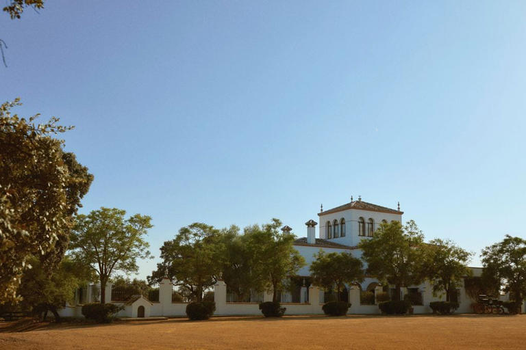 Entramos en 'La Consentida', la finca sevillana de Roca Rey, tras ...