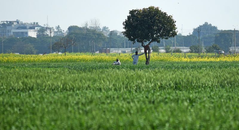 Farmers end Pucca Morcha as Punjab govt enhances land pooling policy ...