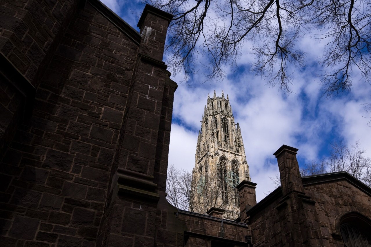 Why everyone hates the Ivy League
