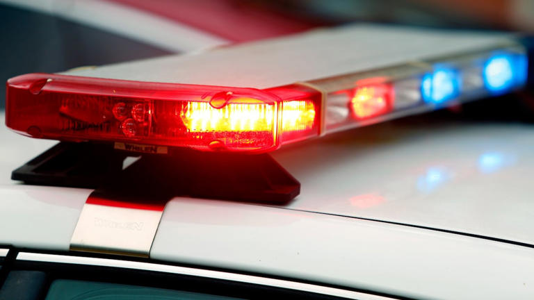 Girl shot near Gulf Middle School in New Port Richey