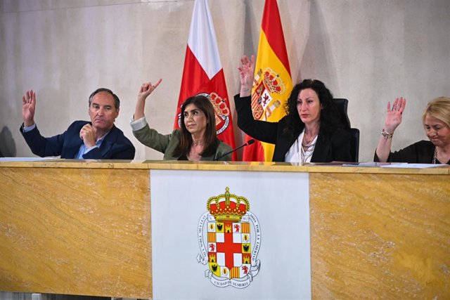 El pleno aprueba hasta 213 viviendas en dos parcelas de El Toyo y eleva ...