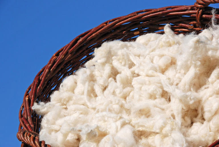 Anti-counterfeit tech firm and European Center of Innovative Textiles ...