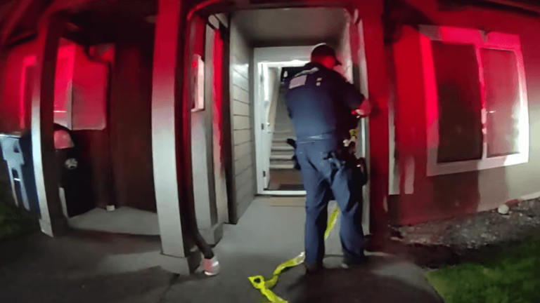 Suspect turns himself in after allegedly shooting man to death at ...