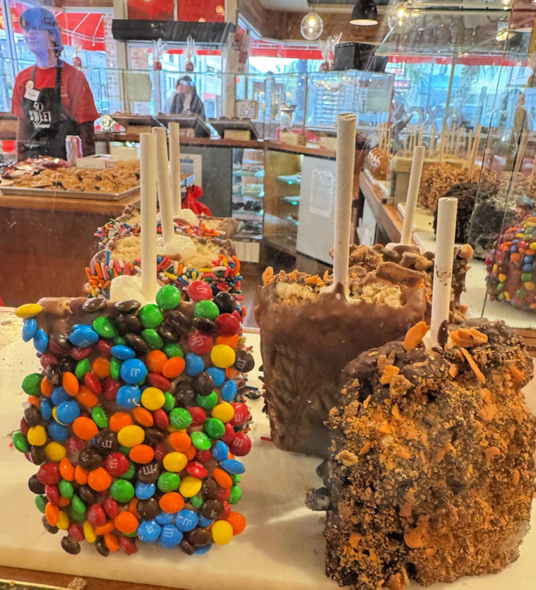 25+ must-try restaurants in Savannah, Georgia: A local foodie's guide