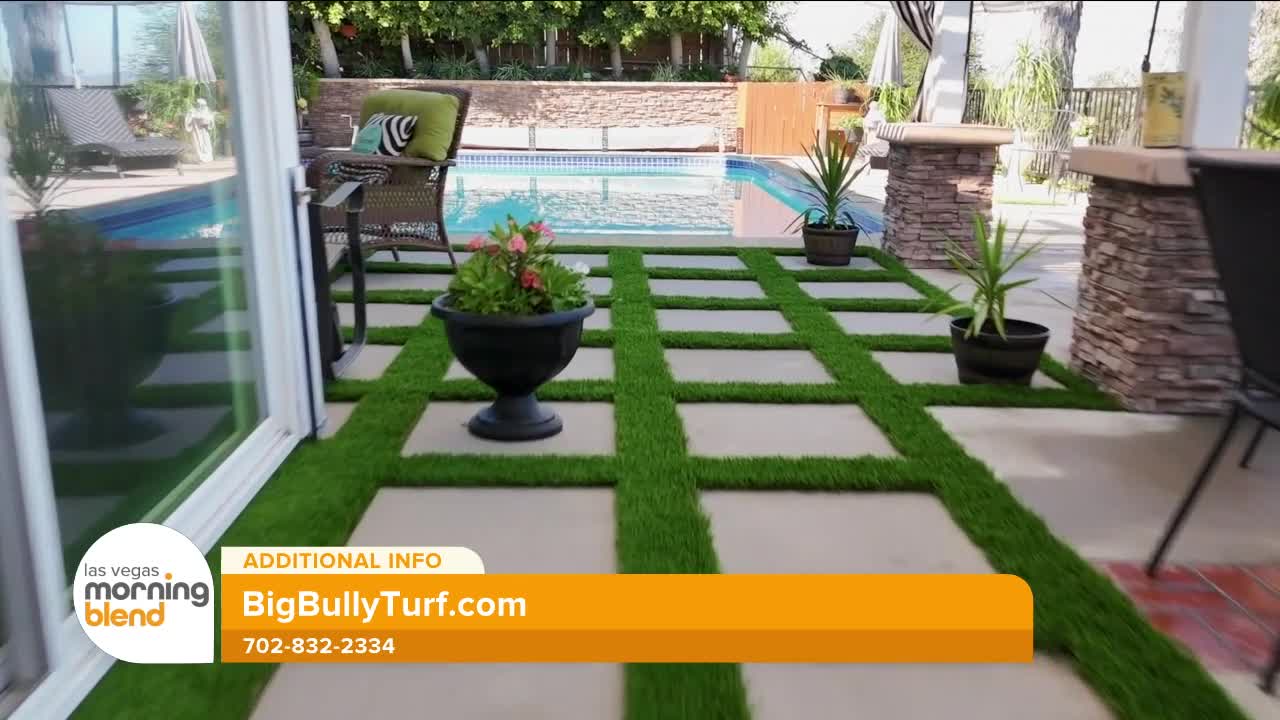 Big Bully Turf brings low-maintenance lawns and pet-friendly turf to ...