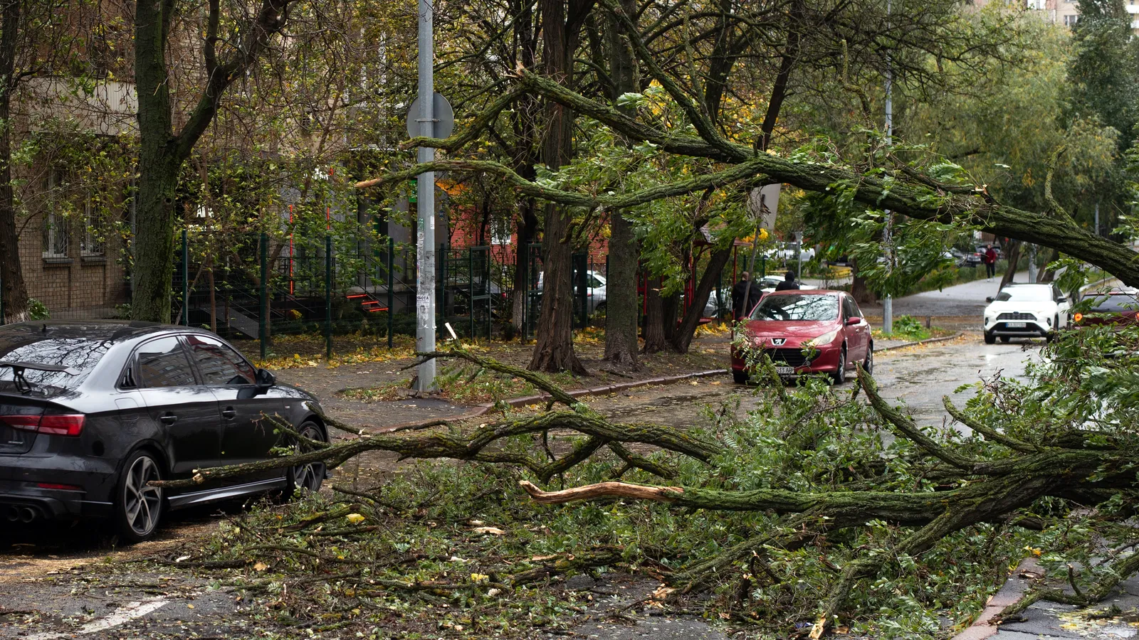 Ottawa faces aftermath of tornado as downed power lines and damaged ...