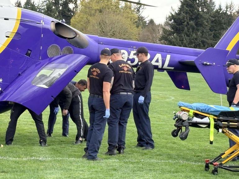 Man airlifted after suffering serious injury from falling tree in ...