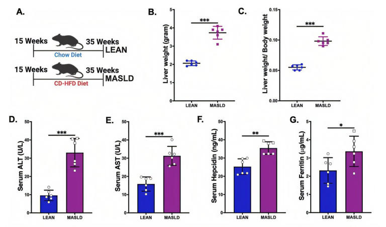 Gut microbiome serves as key driver of bacterial infection outcomes in ...