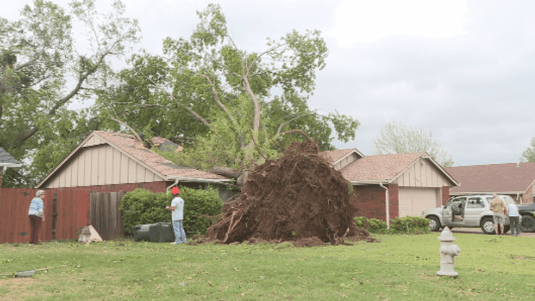 Cleanup underway after Tuesday night storms knock down trees and power ...
