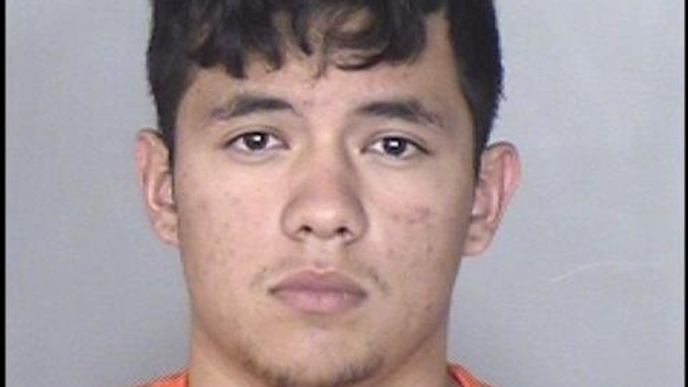 Two alleged gang members plead guilty to murder, attempted murders in ...