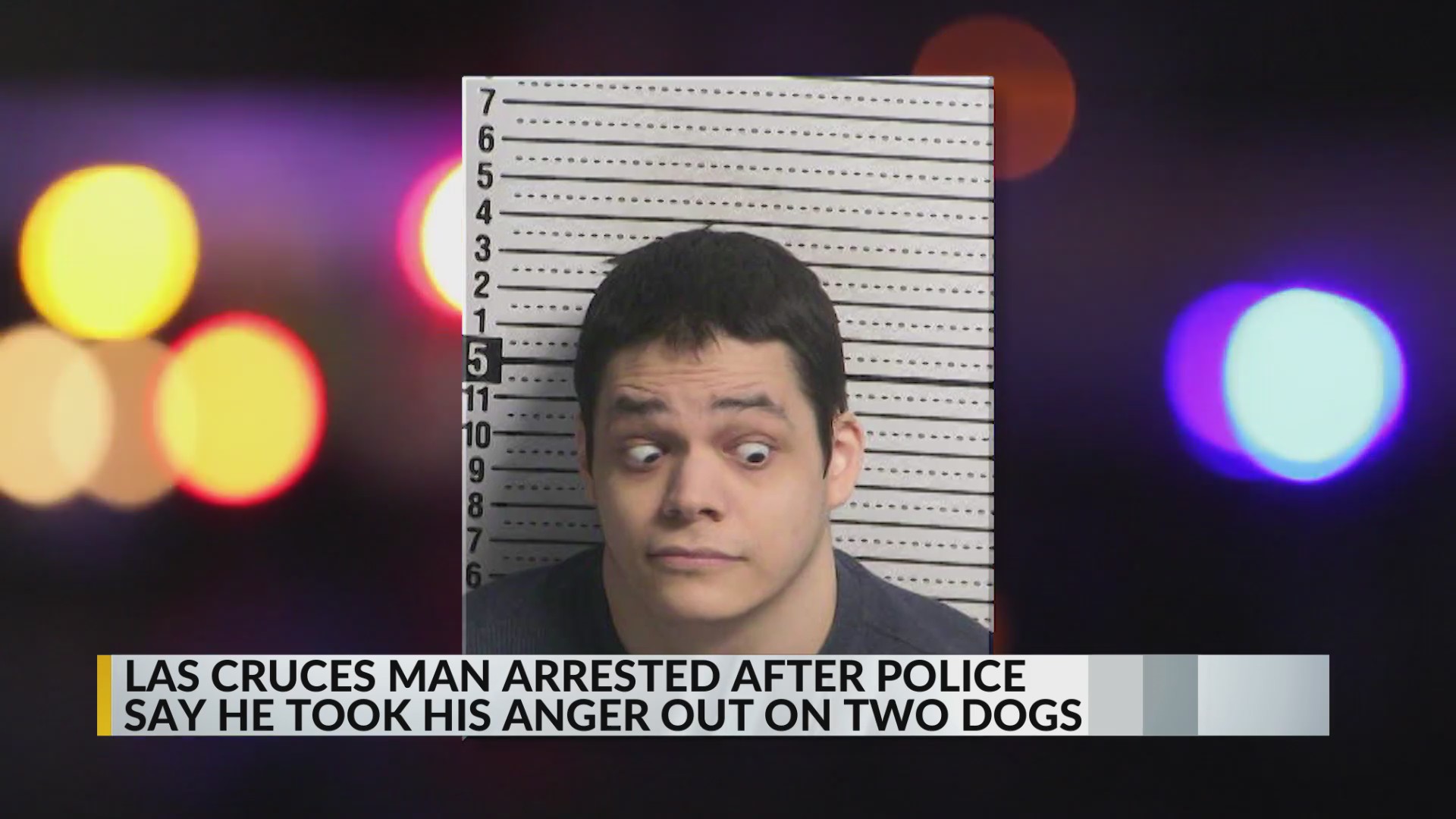 Las Cruces man arrested after police say he took his anger out on two dogs