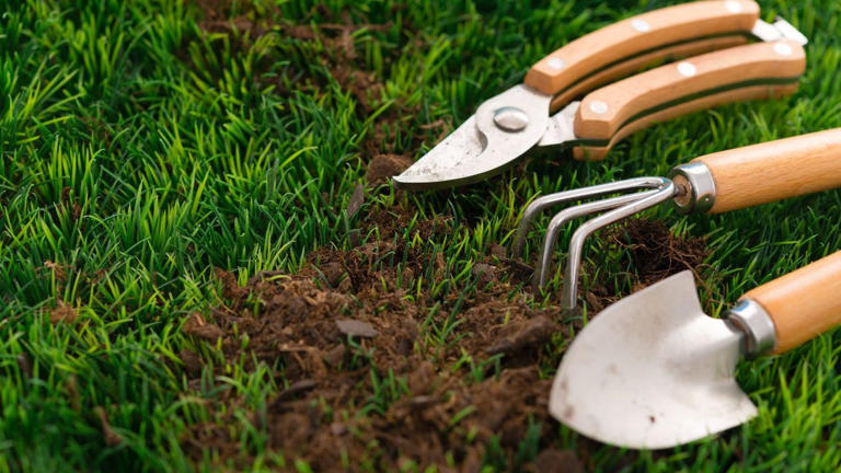 This simple tool is versatile, durable, and beloved by gardeners – and ...