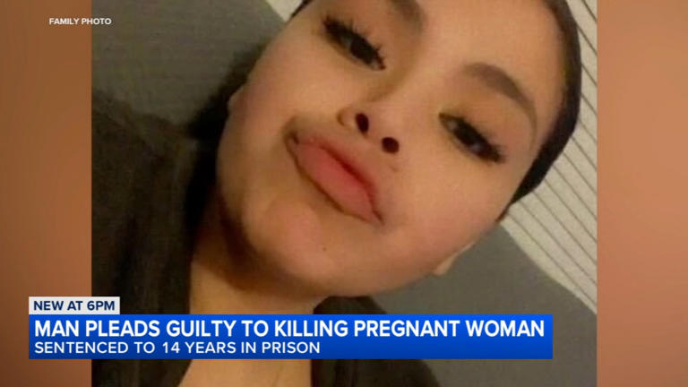 Man pleads guilty in shooting death of pregnant woman, dragging body ...