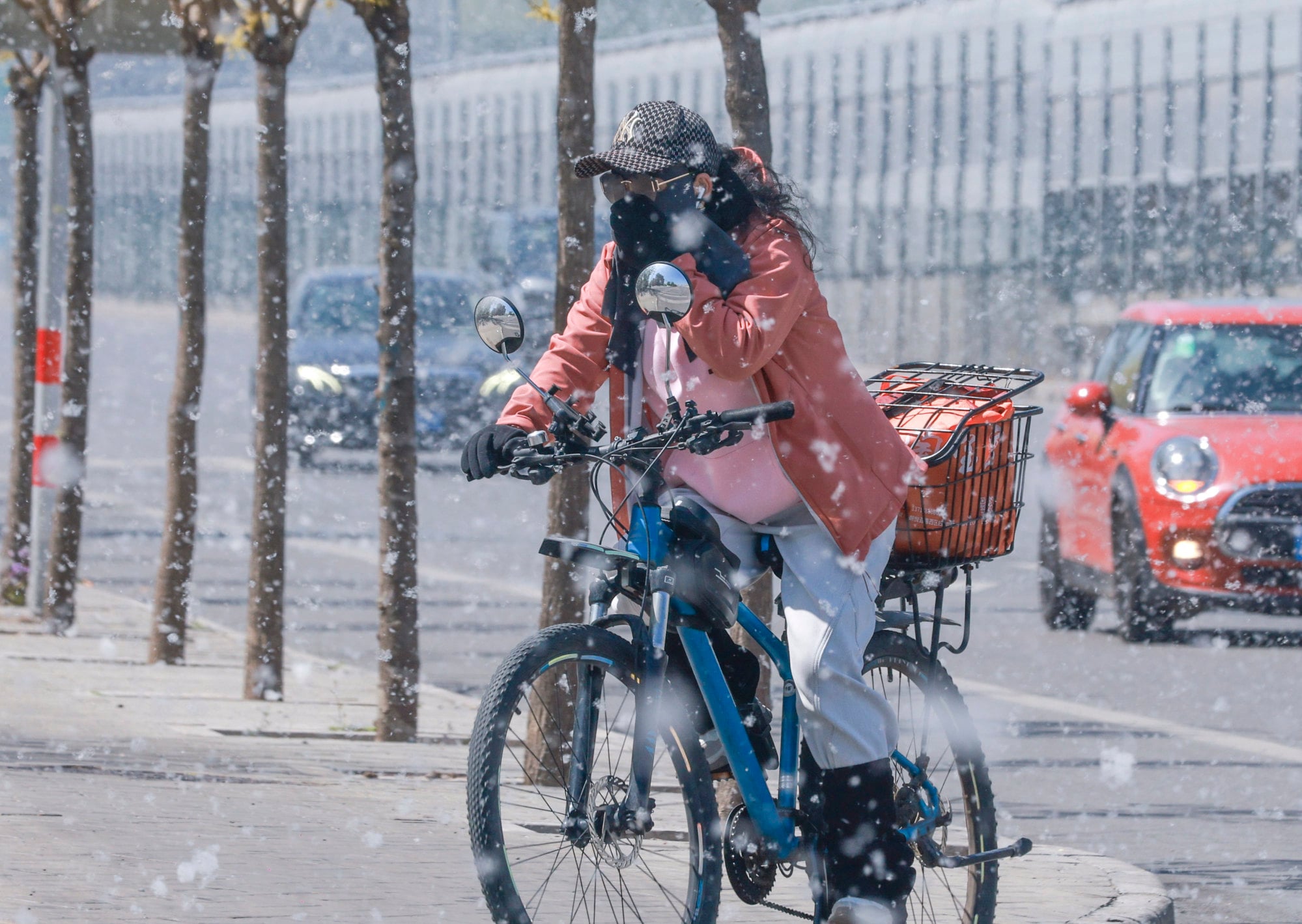 The fluff stops here: Beijing’s battle against the green wall ‘snowstorm’