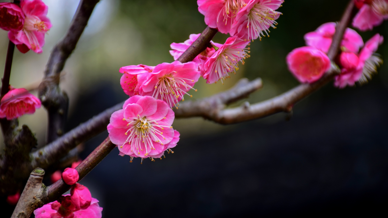Meaning and importance