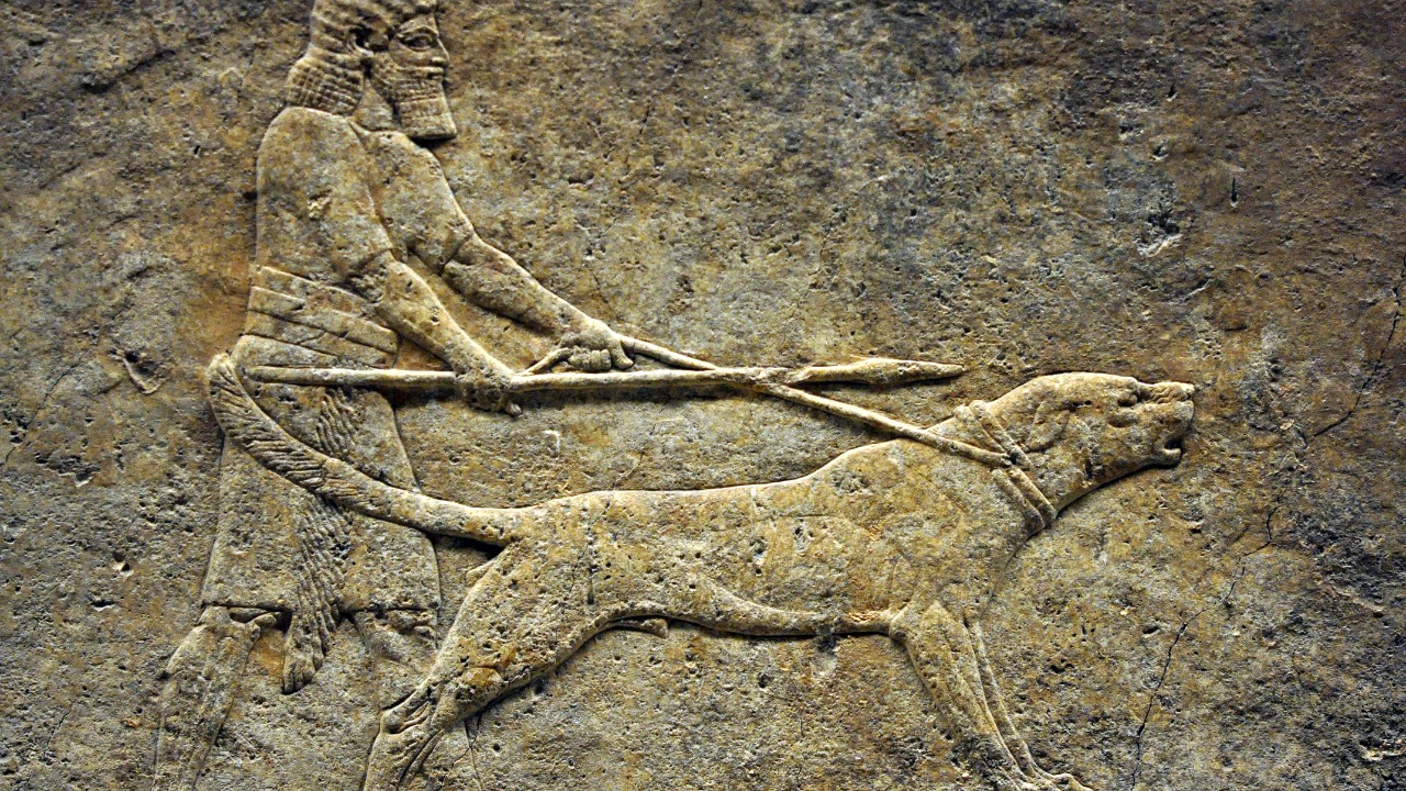 Ancient DNA reveals dogs lived with humans 15,800 years ago