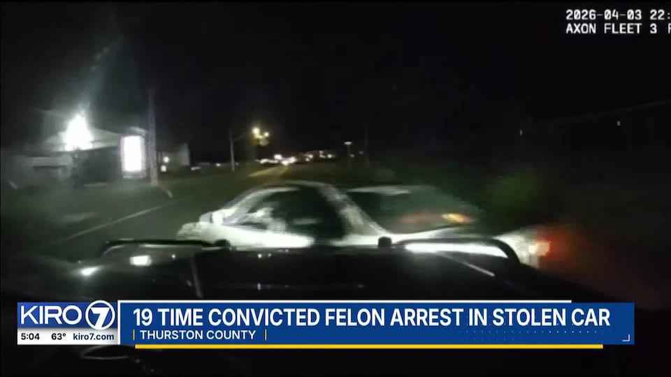 Video: 19-time convicted felon arrested in stolen car