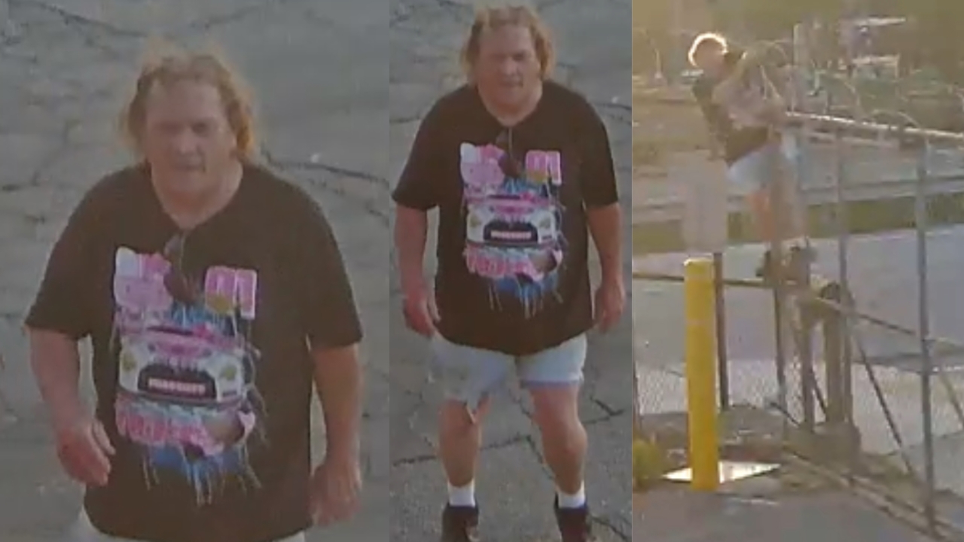 APD seeking to identify suspect in auto theft
