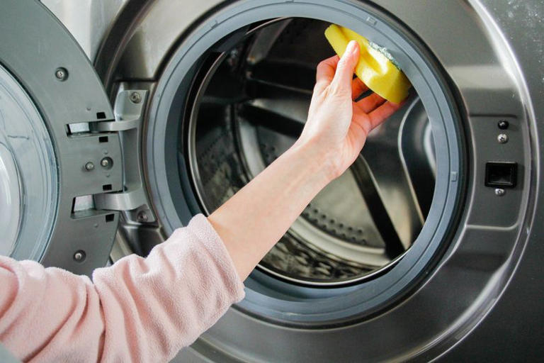 Expert reveals how to remove mould from washing machine using common ...