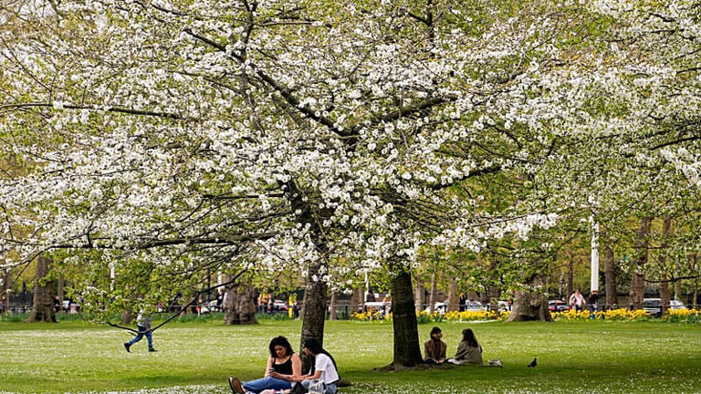 Pollen is here to stay as seasons get longer. Here’s how to protect ...