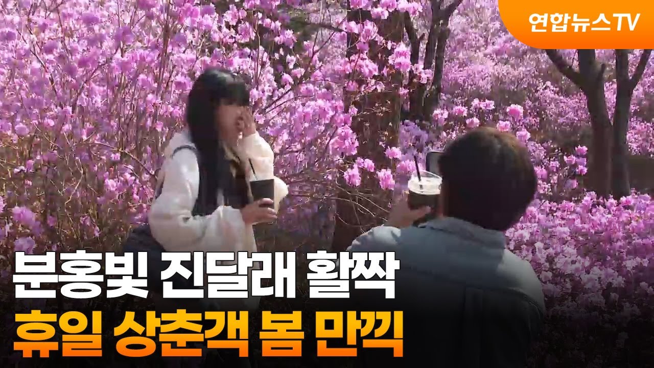 분홍빛 진달래 활짝…휴일 상춘객 봄 만끽 / 연합뉴스TV (YonhapnewsTV)