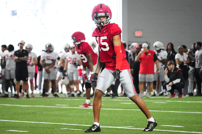 WATCH: Ohio State freshman phenom Chris Henry Jr. haul in long TD