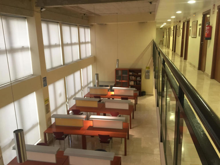 Departamento de Historia del Arte: organización, actividades y personal