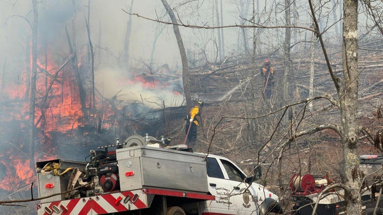 Multi-agency crews battle 45-acre wildfire after brush fire blows up in ...