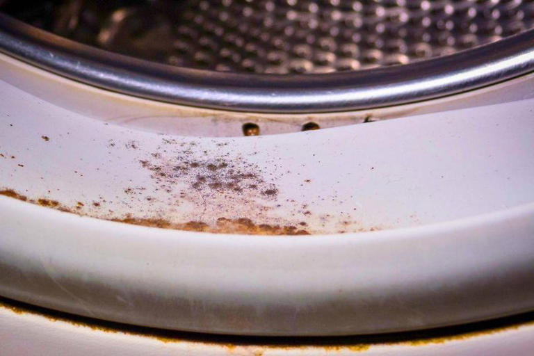 Expert reveals how to remove mould from washing machine using common ...