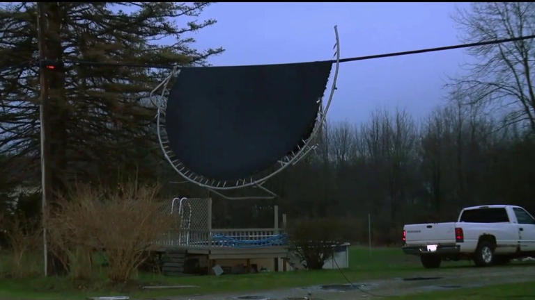 Strong storms in southeast Michigan damage buildings, knock down trees