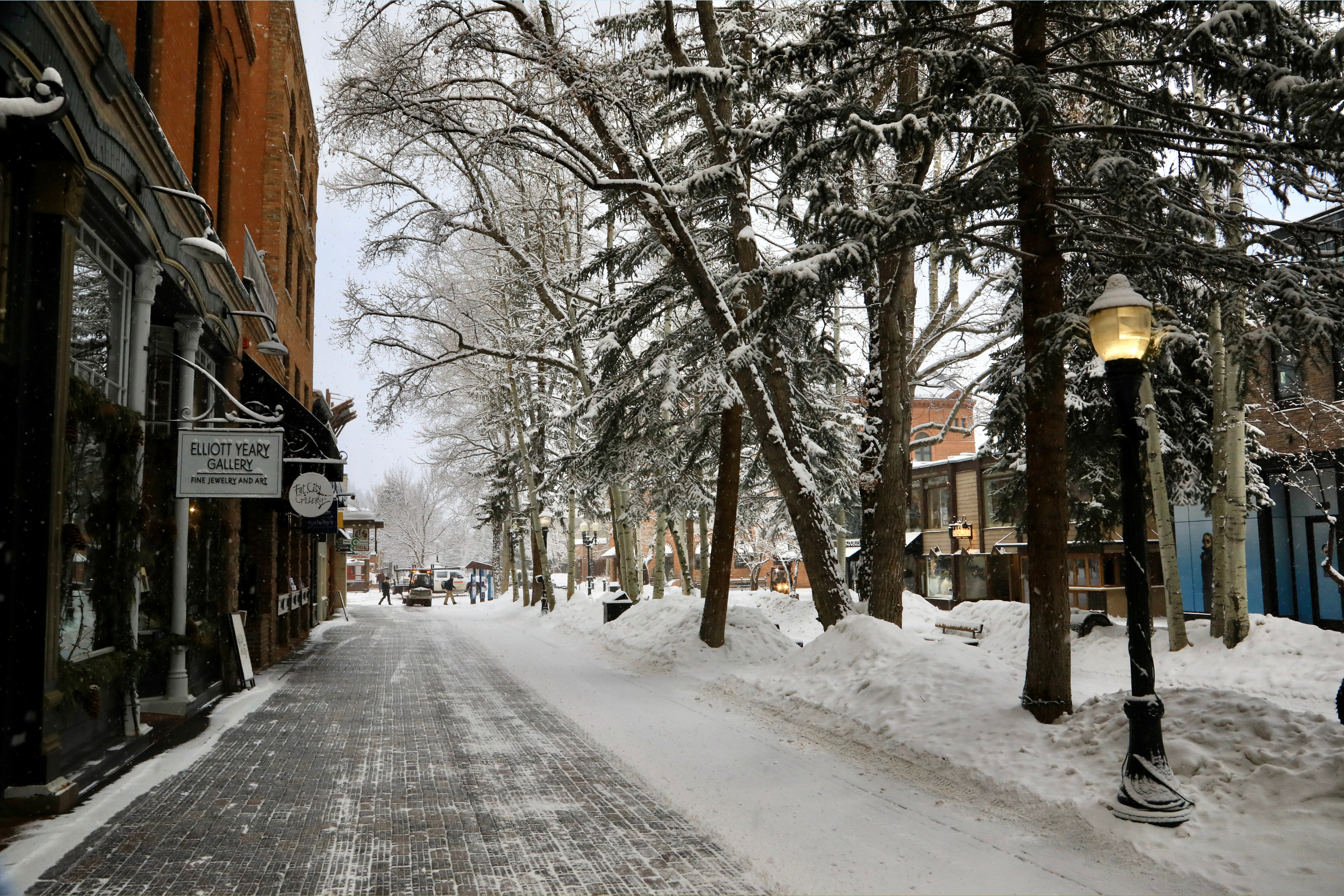 Snow, ice, wind, and freezing rain warnings issued — avoid travel<br>