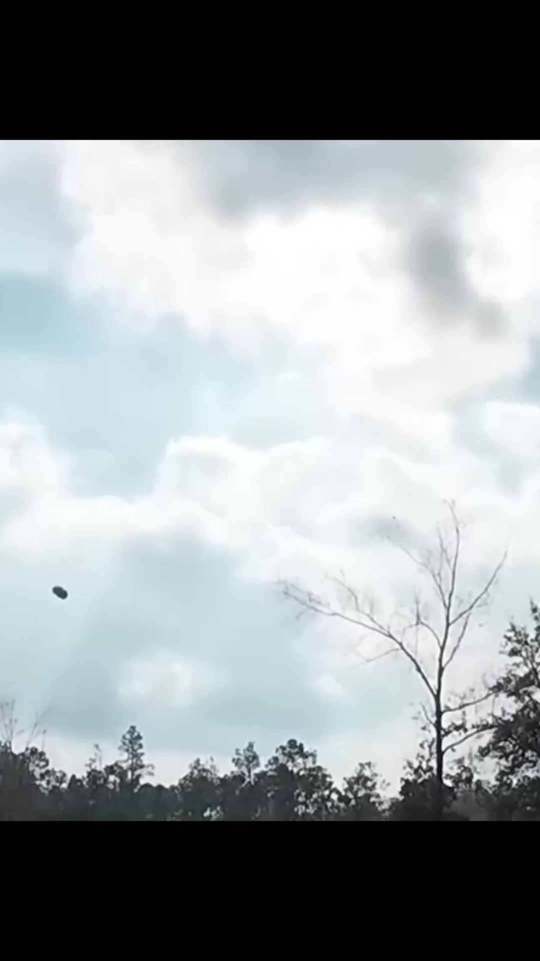 Testing a potato cannon build