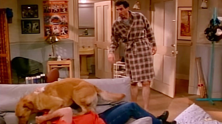 Why Seinfeld got rid of Kramer's dog and how that changed Michael ...