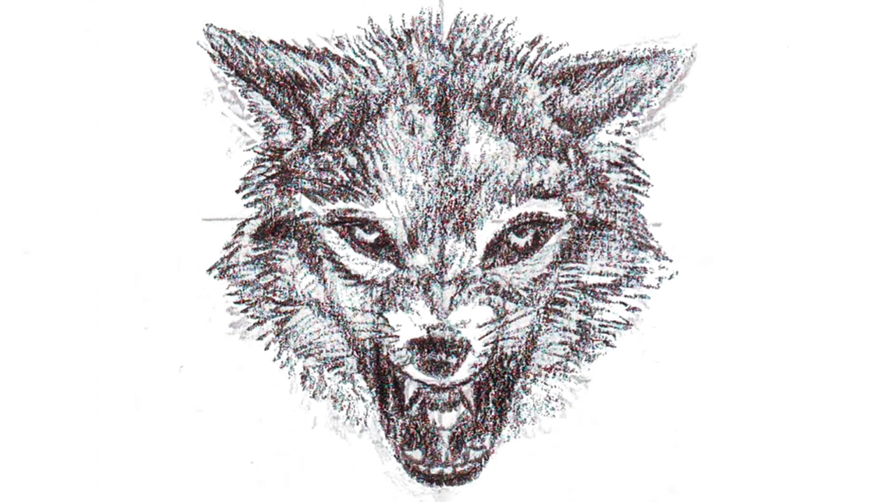 Epic wolf head drawing tutorial showing multiple perspectives and ...