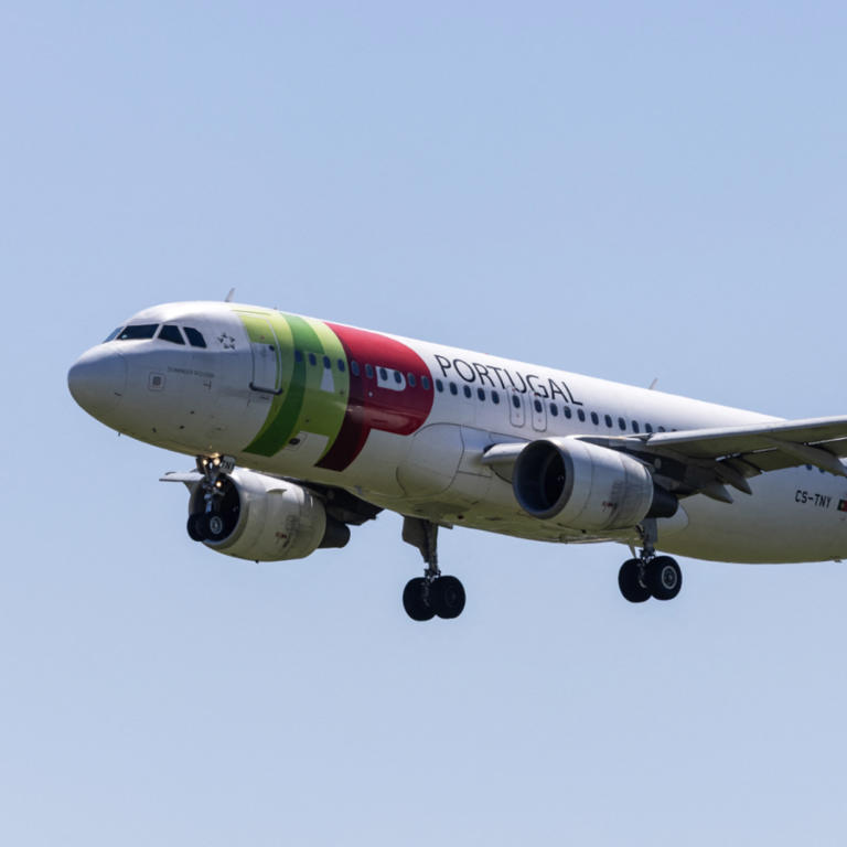 elfbar elfa master akku Darf man eine RandM Vape mit ins Flugzeug nehmen? main image 1